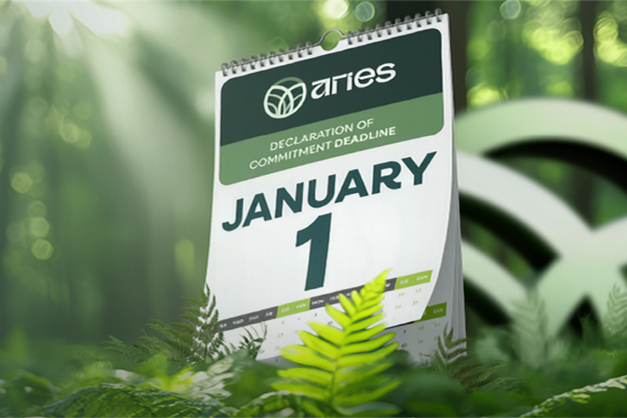 Stepping Forward with Confidence